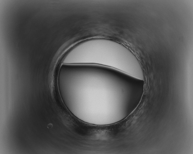 X0000094430247200711081025