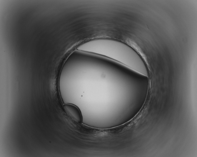 X0000094430249200711081025