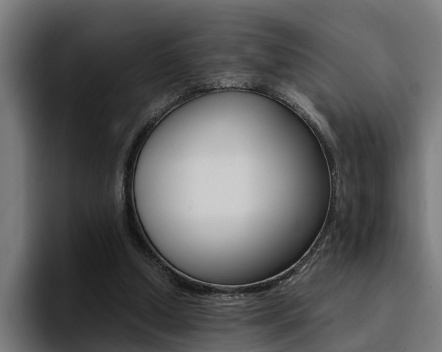 X0000094430250200711081025