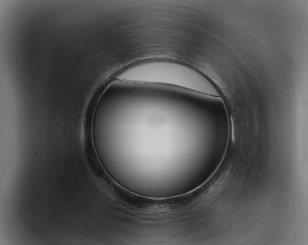 X0000094430252200711081025