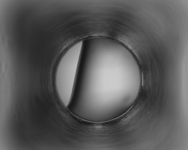 X0000094430253200711081025