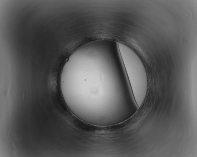 X0000094430259200711081025