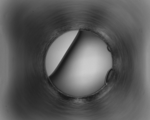 X0000094430261200711081025
