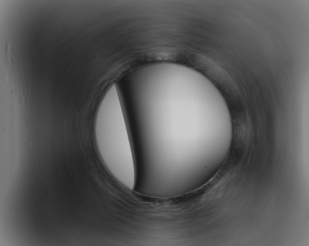 X0000094430262200711081025
