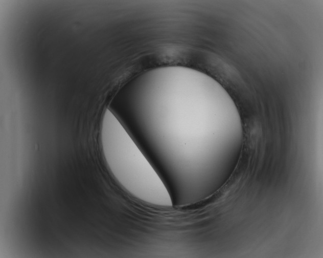 X0000094430266200711081025