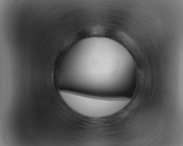 X0000094430269200711081025