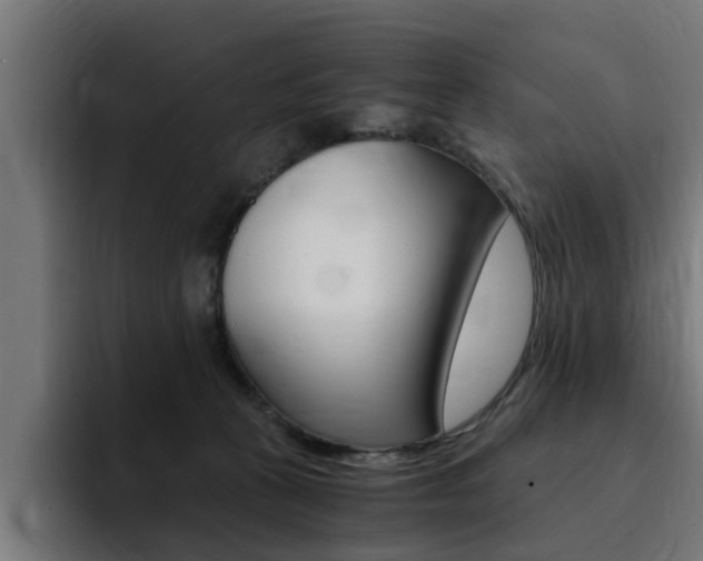 X0000094430273200711081025