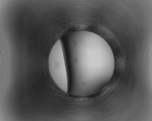 X0000094430274200711081025