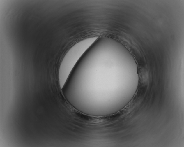 X0000094430276200711081025