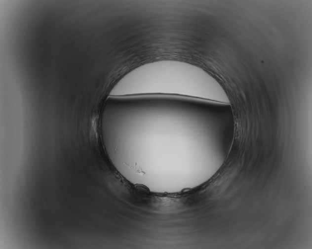 X0000094430286200711081025