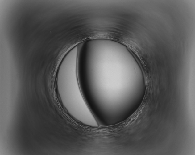 X0000094430289200711081024
