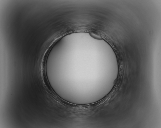 X0000094430290200711081024