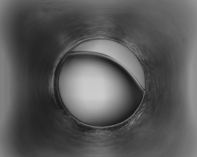 X0000094430292200711081024
