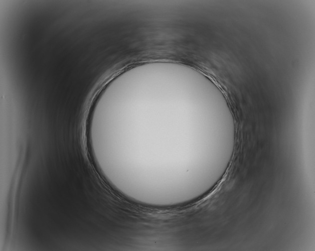 X0000094430293200711081024