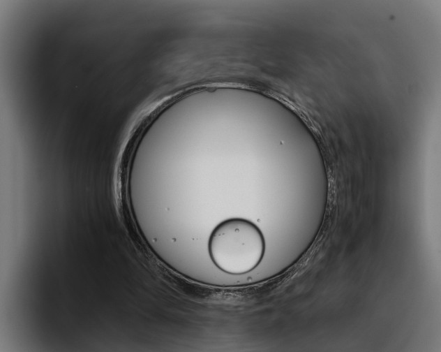 X0000094430294200711081024