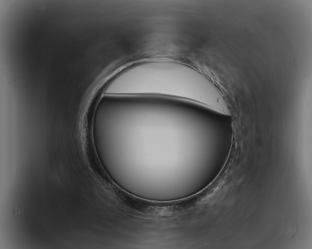 X0000094430295200711081024