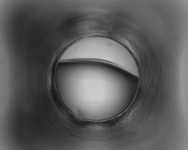 X0000094430299200711081024