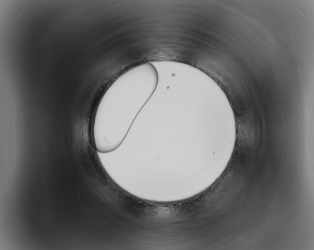 X0000094430302200711081024