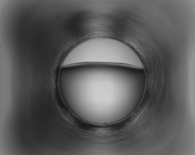 X0000094430303200711081024