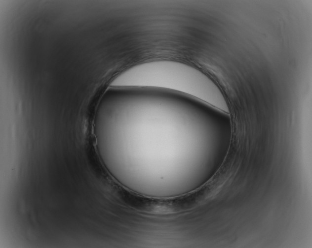 X0000094430308200711081024