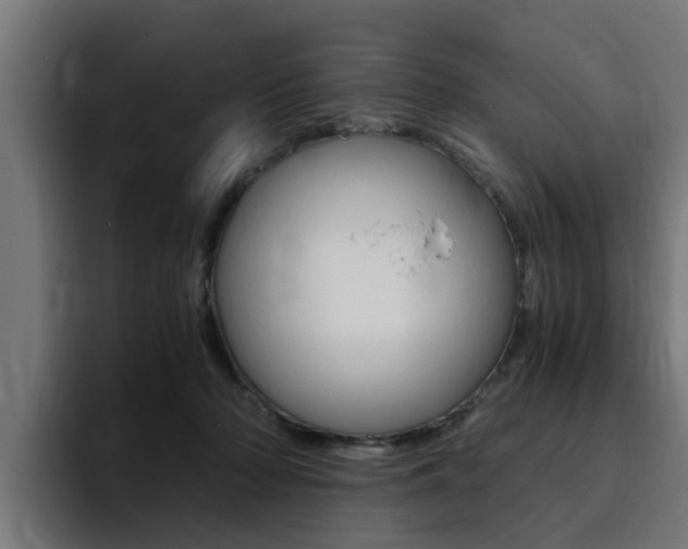 X0000094430318200711081024