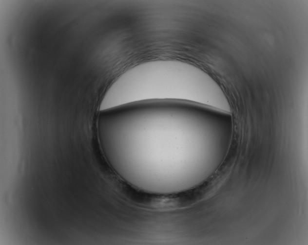 X0000094430319200711081024