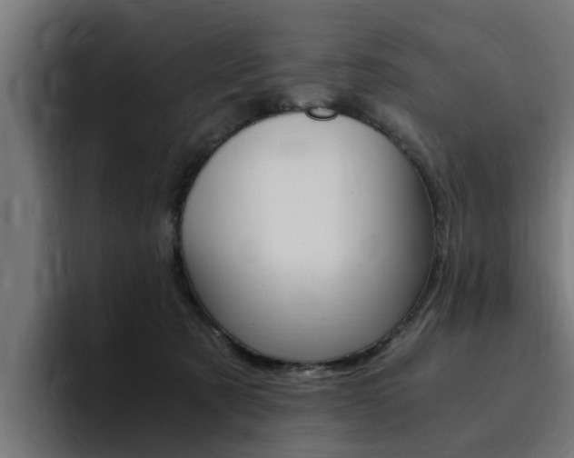 X0000094430321200711081024