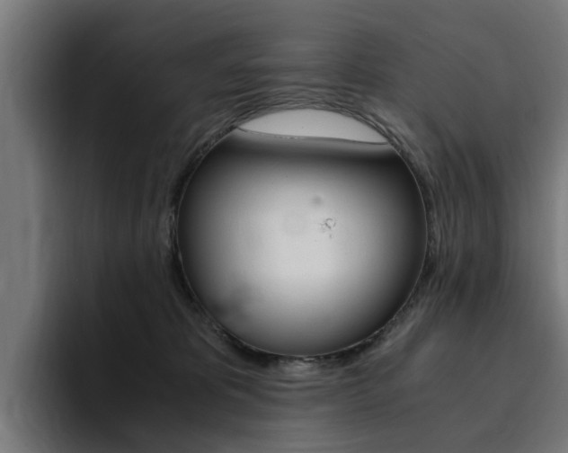 X0000094430325200711081024