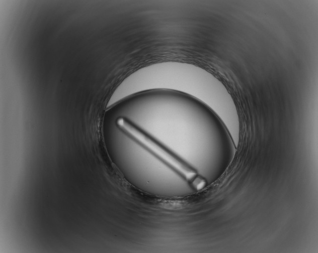 X0000094430332200711081024