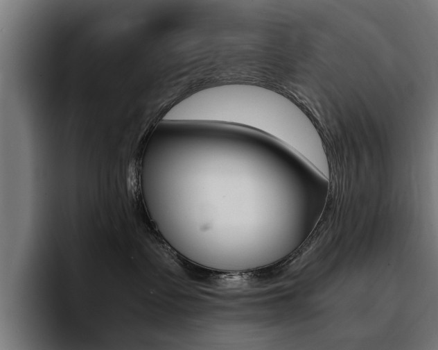X0000094430335200711081024