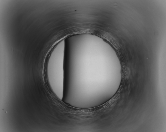 X0000094430338200711081023