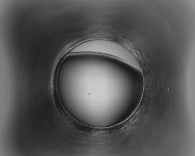X0000094430340200711081023