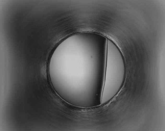 X0000094430345200711081023