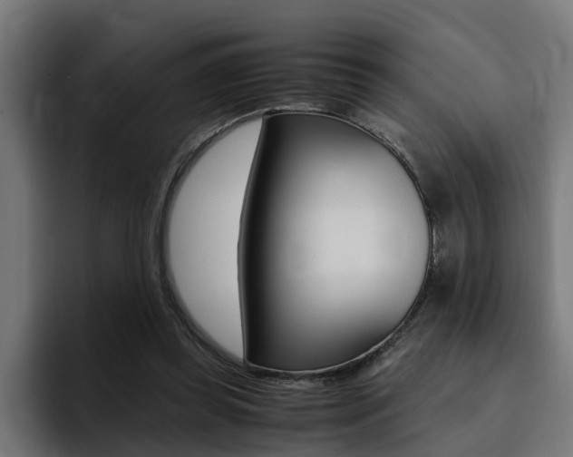 X0000094430349200711081023