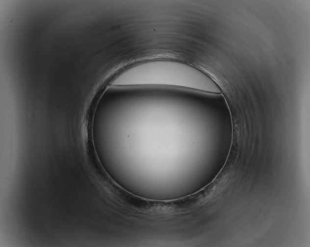 X0000094430350200711081023