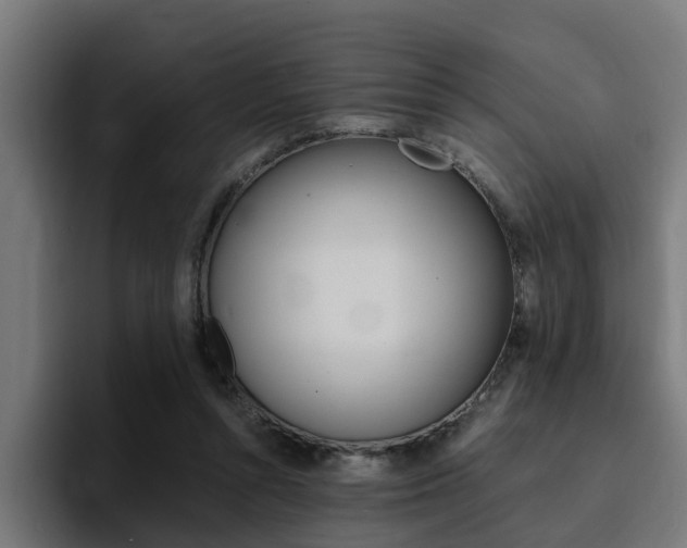 X0000094430352200711081023