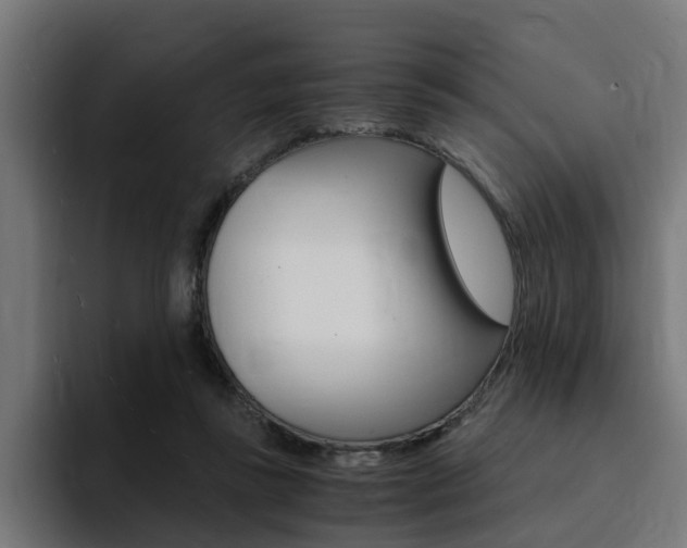 X0000094430355200711081023