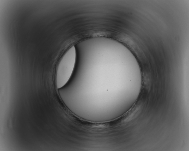 X0000094430357200711081023
