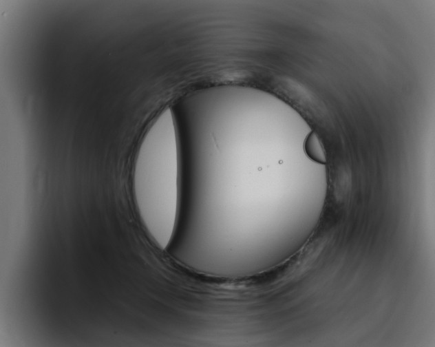 X0000094430366200711081024