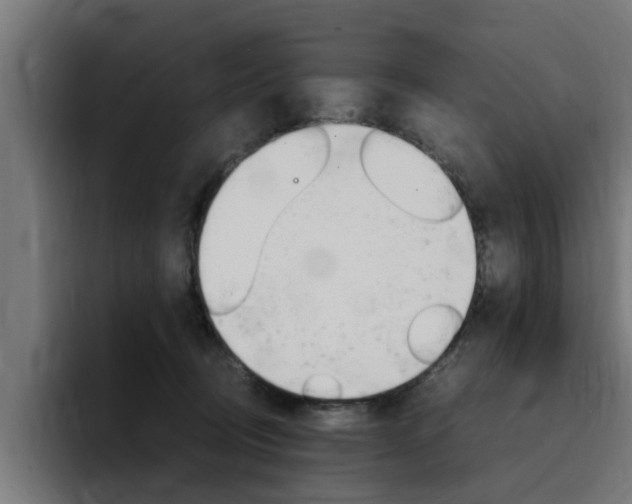 X0000094430370200711081024