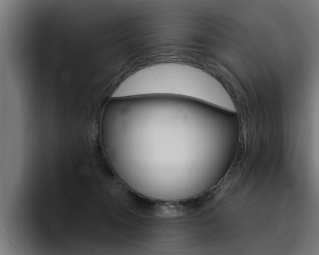 X0000094430372200711081024