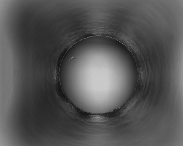 X0000094430380200711081024