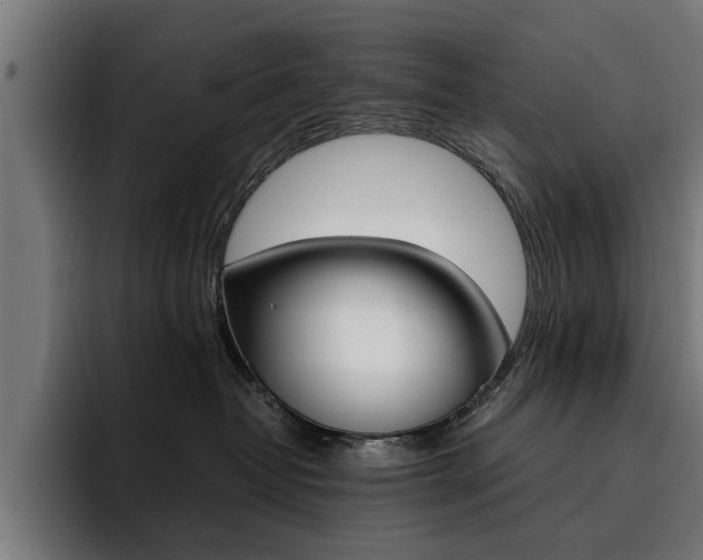 X0000094430382200711081024