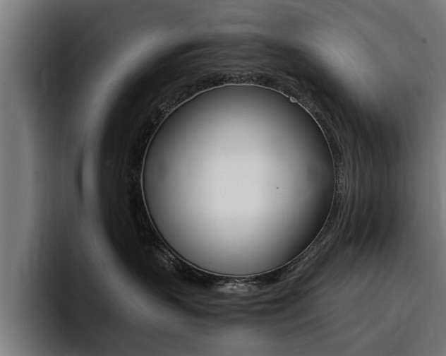 X0000094430383200711081024