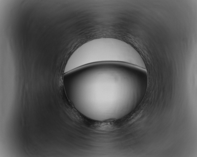 X0000094430384200711081024