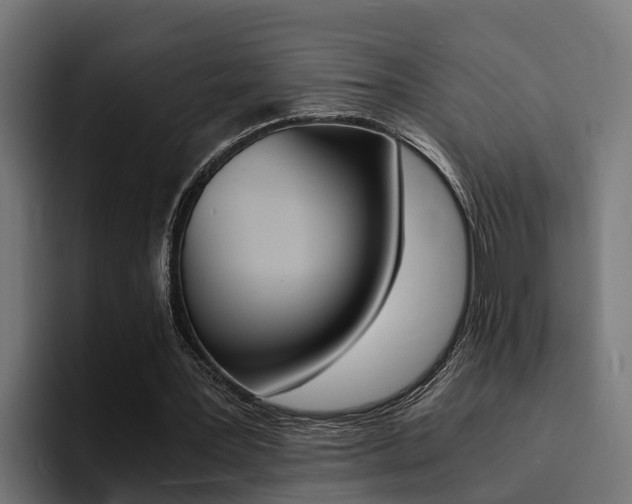 X0000094430387200711081023