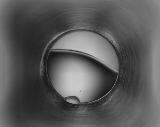 X0000094430388200711081023