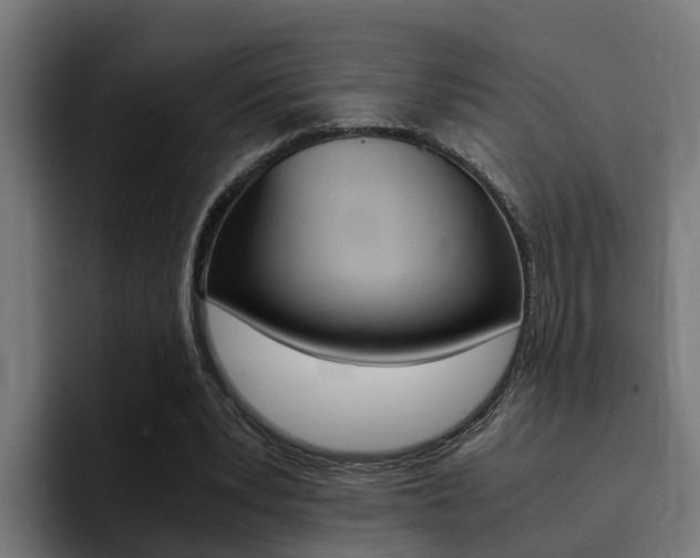 X0000094430391200711081023