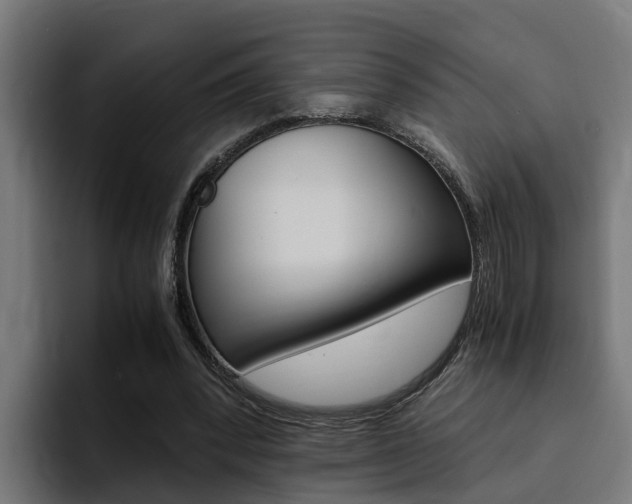 X0000094430392200711081023