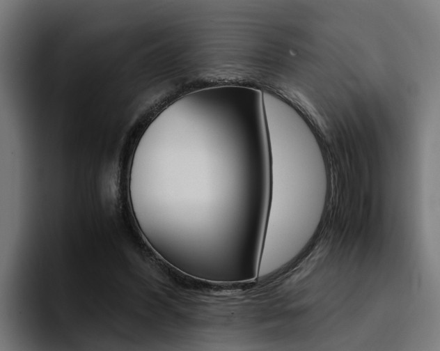 X0000094430396200711081023